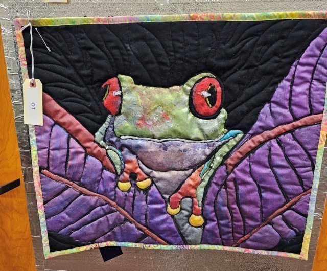sch2025kinleyrobinredeyedtreefrog2.jpg